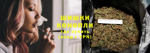 индика Богданович