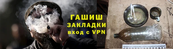 индика Богданович