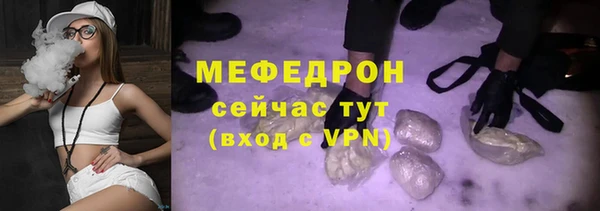 индика Богданович