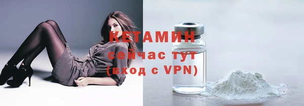 индика Богданович