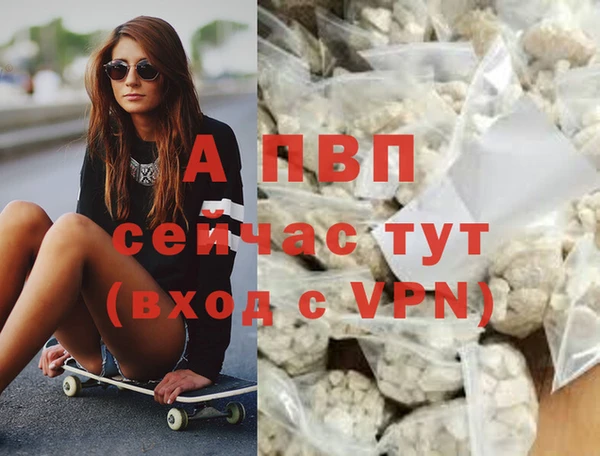 ПСИЛОЦИБИНОВЫЕ ГРИБЫ Богородицк