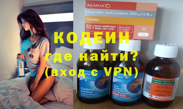 индика Богданович