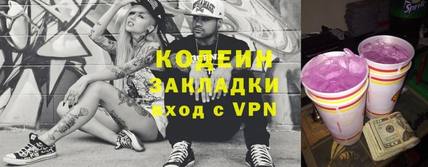 индика Богданович