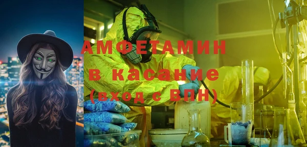 индика Богданович