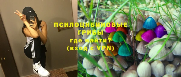 индика Богданович