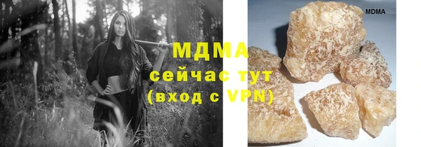 индика Богданович