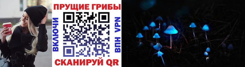 Псилоцибиновые грибы мицелий  хочу   Неман 